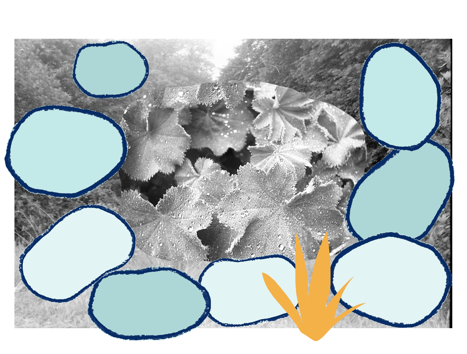 pebble-macro2.gif