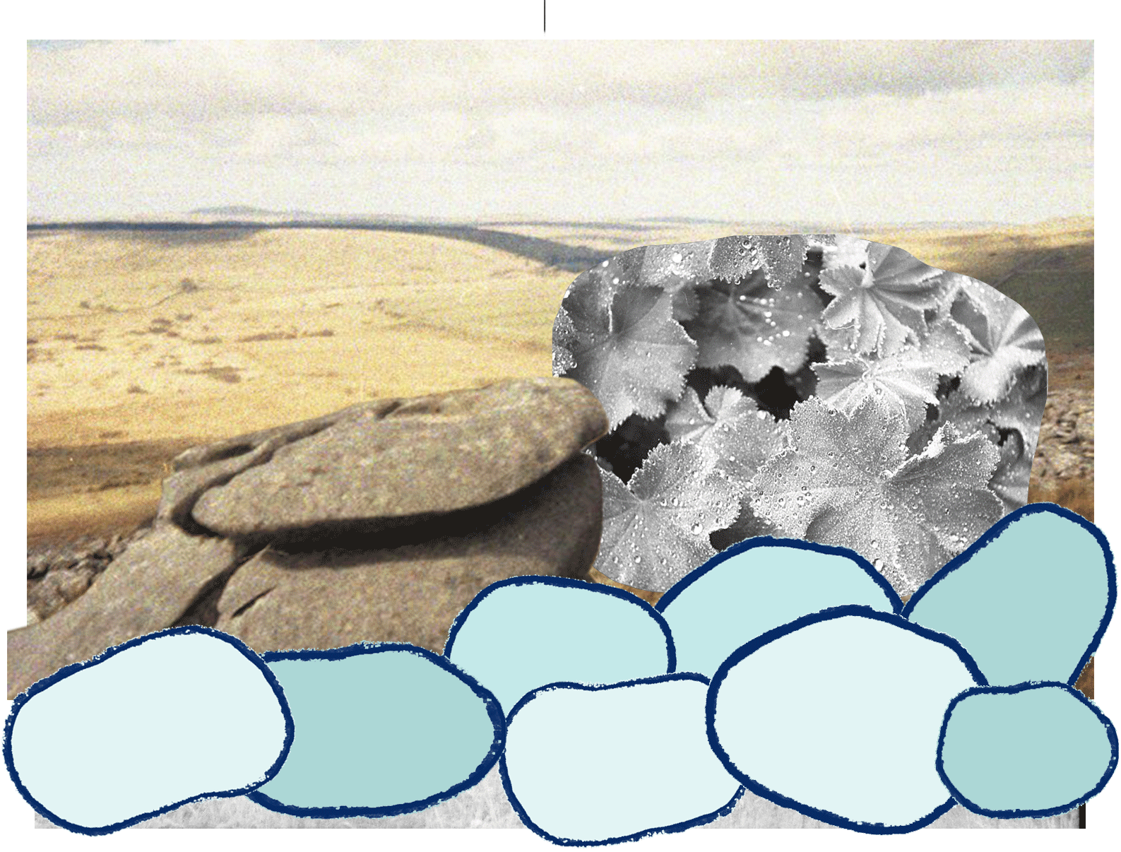 pebble-macro3.gif
