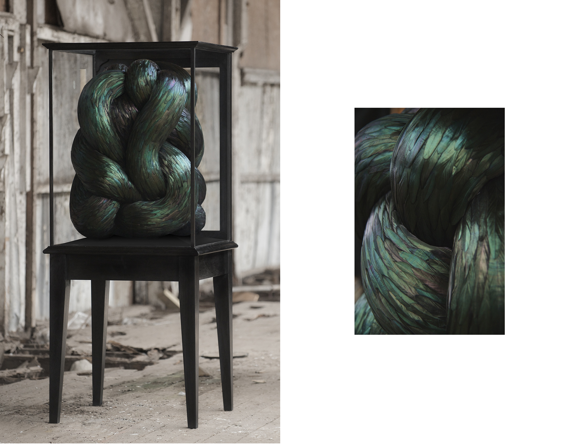 Convolous, Mixed media with rooster feathers in antique cabinet, 2015 (Image: Kate MccGwire)