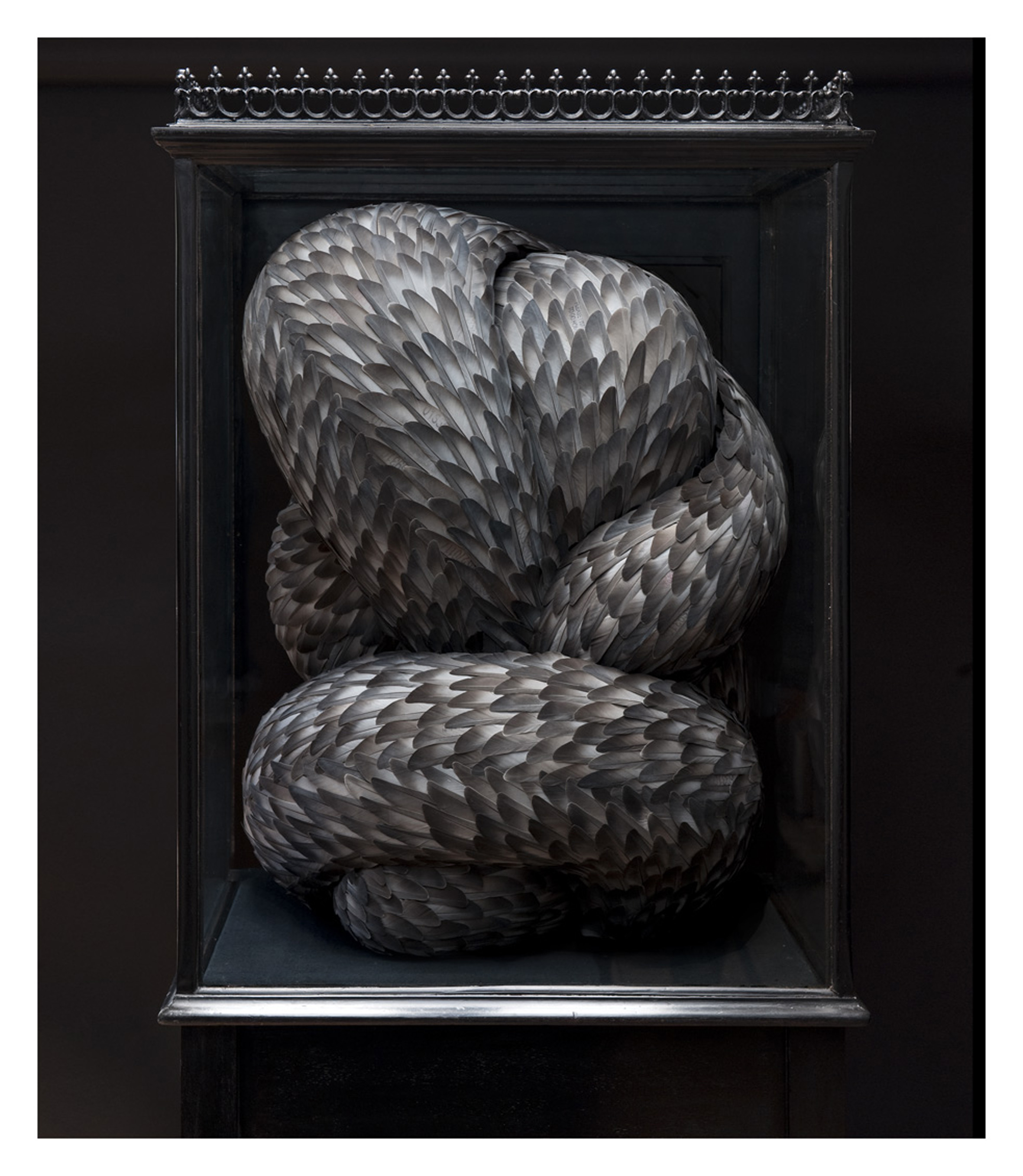 Vice, Mixed media with pigeon feathers in antique cabinet, 2009 (Image: Kate MccGwire)