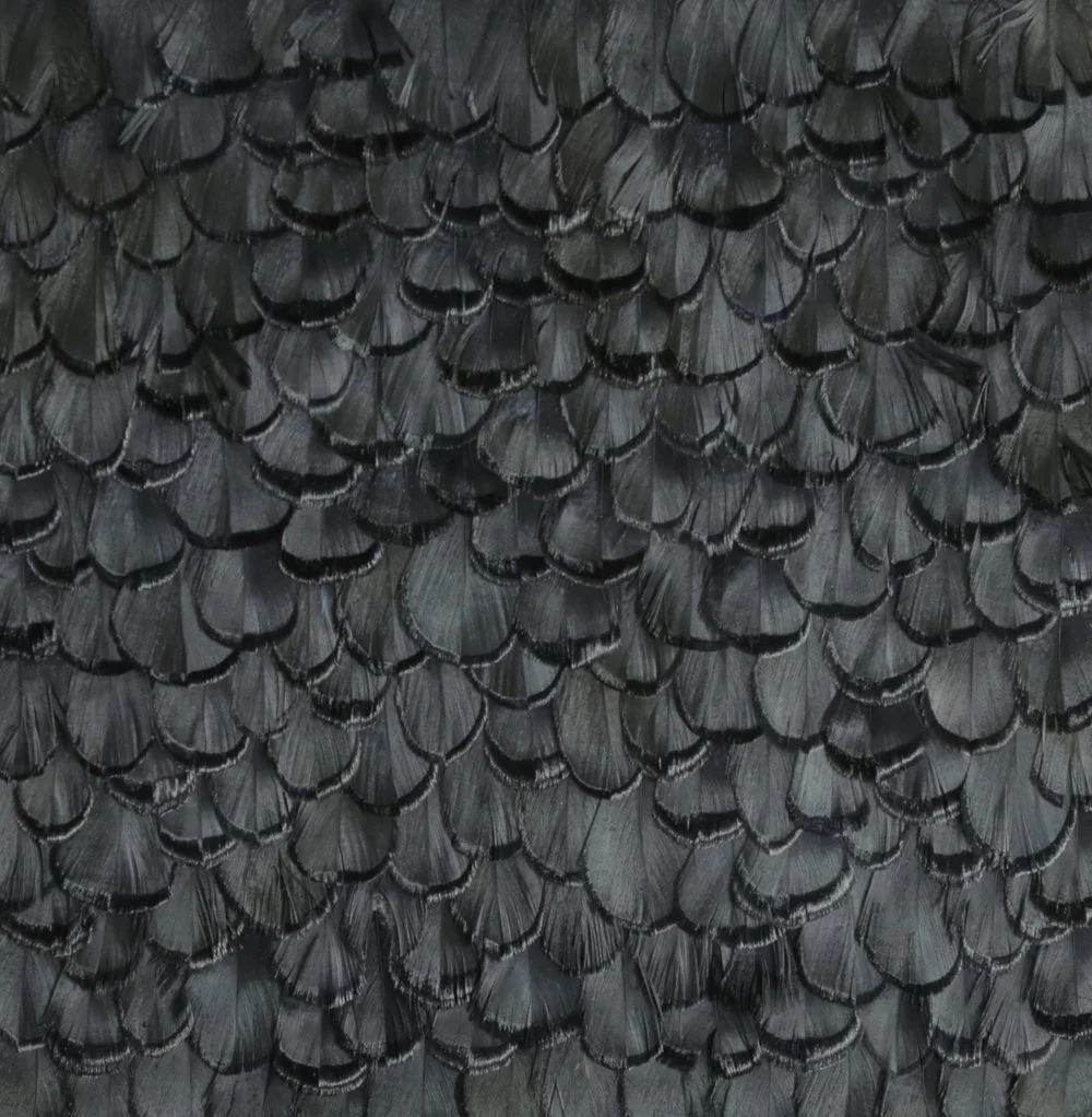 Charcoal+Detail.jpg