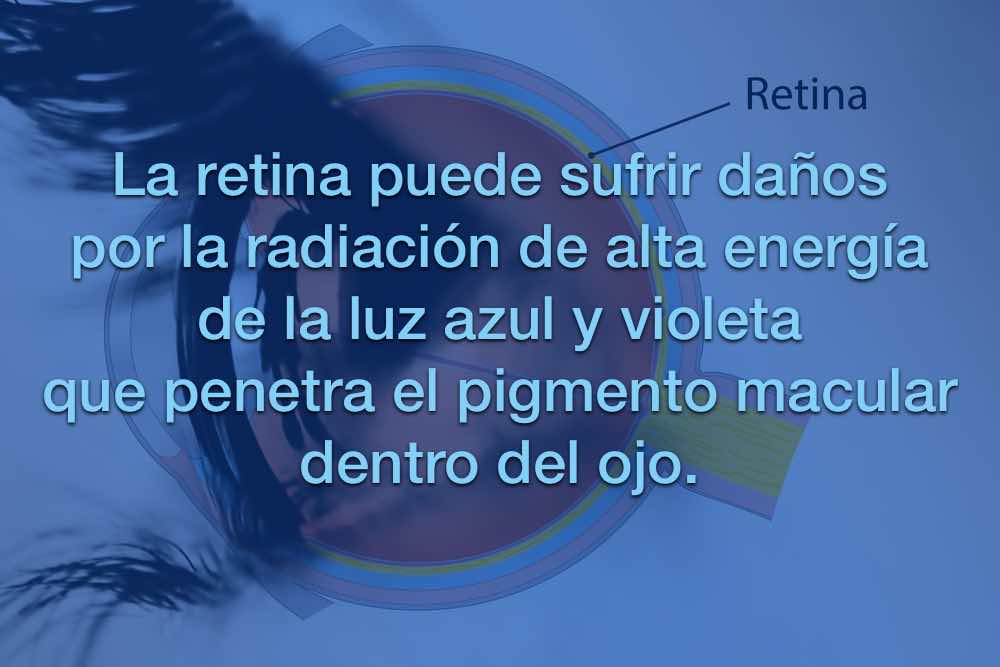 retina4.jpg
