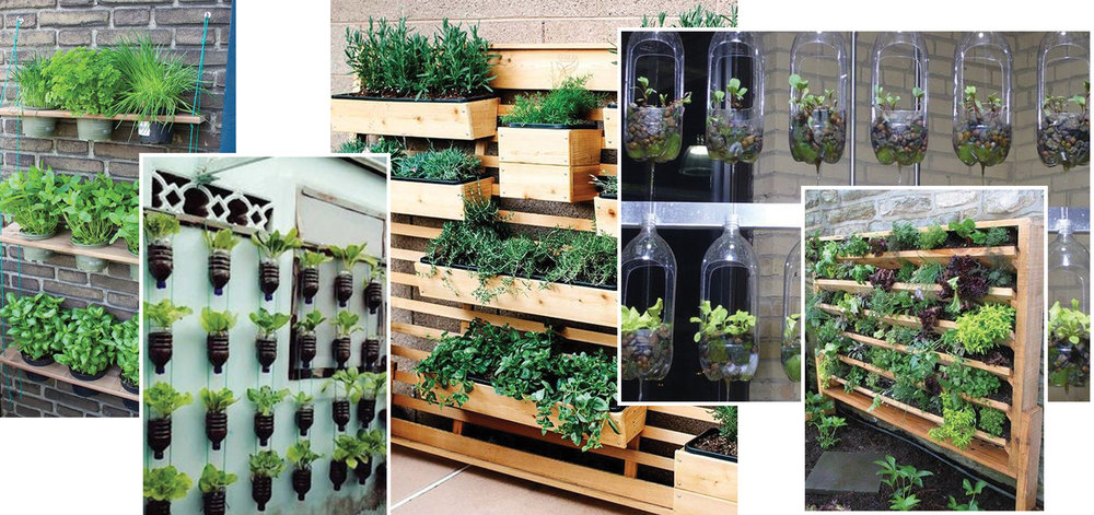 How To Grow An Urban Vegetable Garden, Urban Vegetable Gardening Ideas