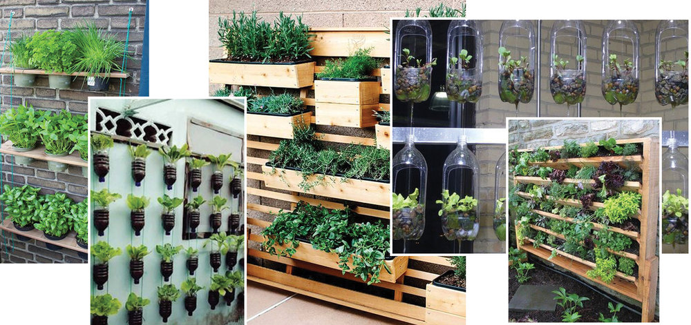 How To Grow An Urban Vegetable Garden The Vurger Co How To Grow An Urban Vegetable Garden, Urban Vegetable Gardening Ideas