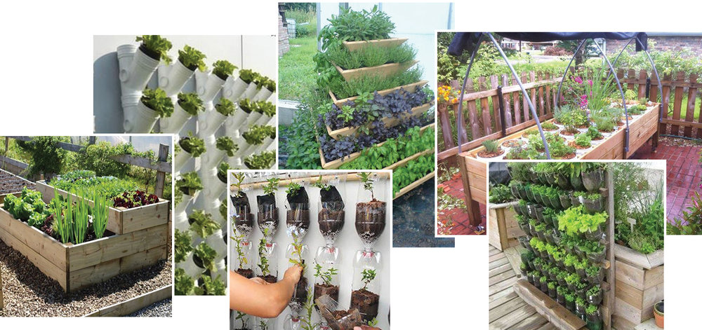 How To Grow An Urban Vegetable Garden, Urban Veggie Garden Ideas