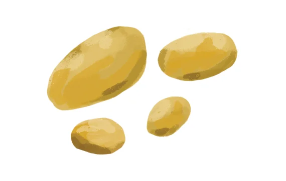 the-vurger-co-vegetable-garden-potatos.jpg