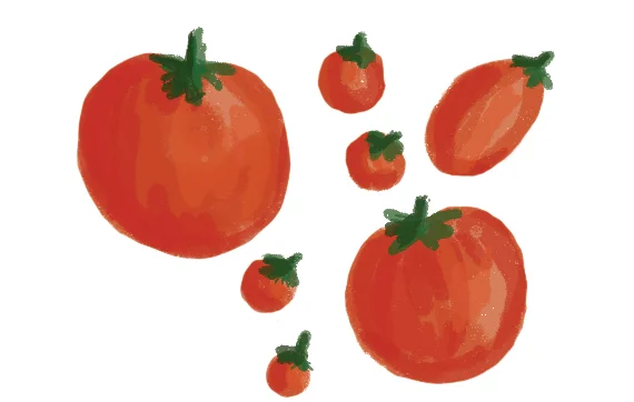 the-vurger-co-vegetable-garden-tomatos.jpg