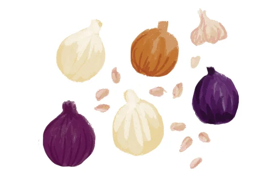the-vurger-co-vegetable-garden-garlic-onions.jpg