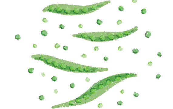 the-vurger-co-vegetable-garden-peas.jpg