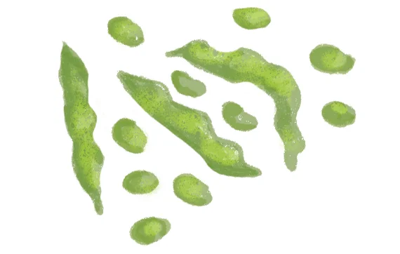 the-vurger-co-vegetable-garden-Broad-Beans.jpg