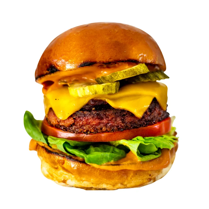 new-york-melt-vurger.jpg