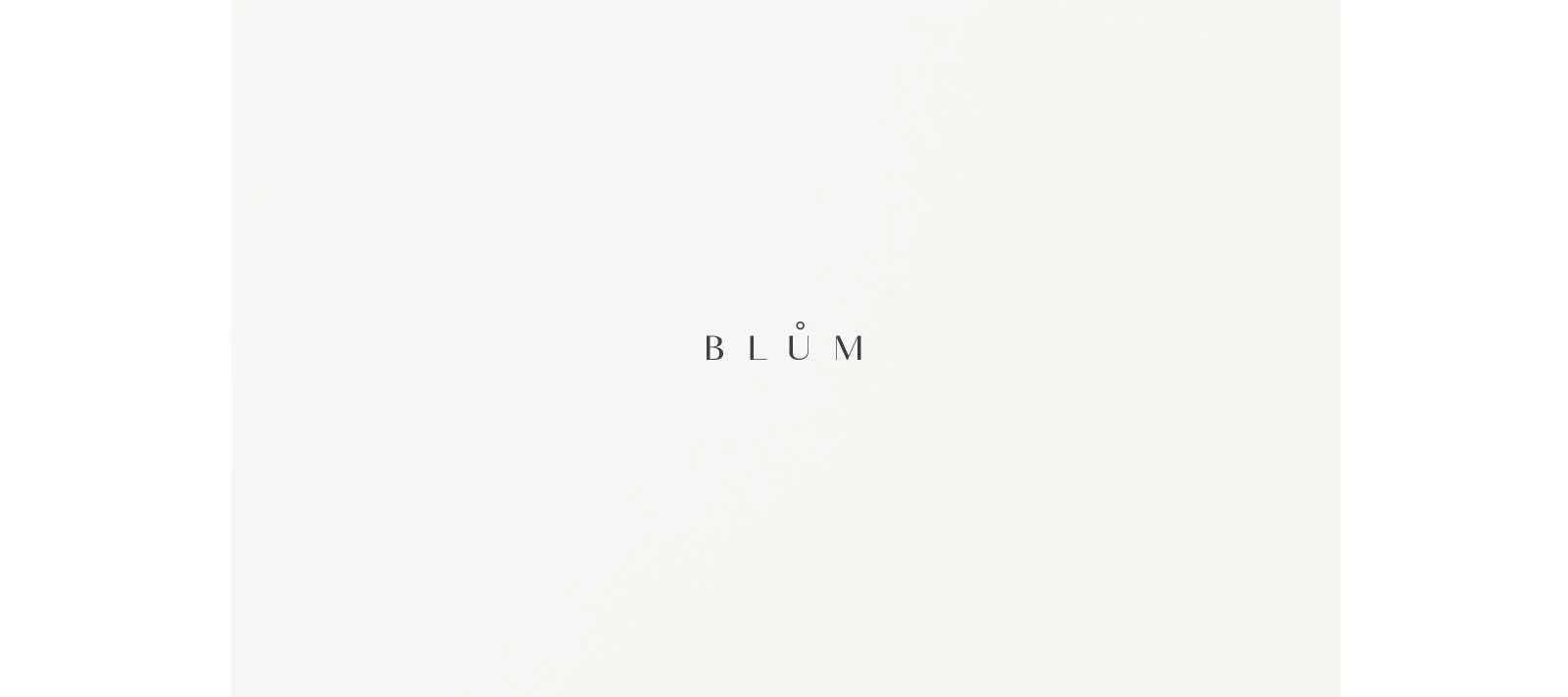 Blum_logo.jpg