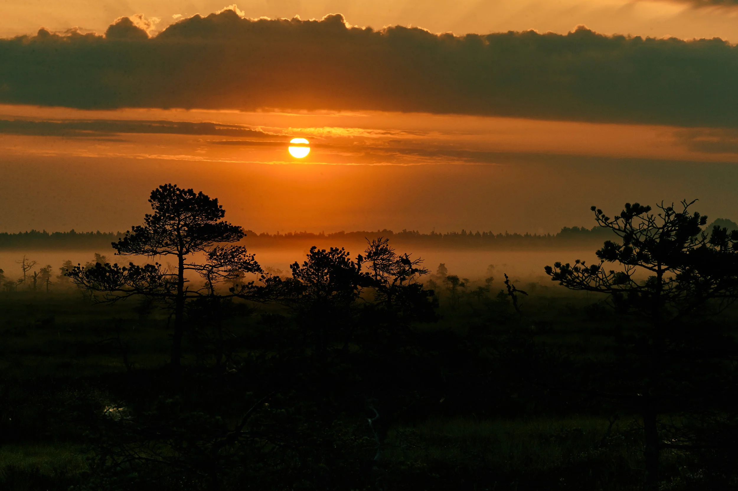 0112 www.skutelisfoto.com.jpg
