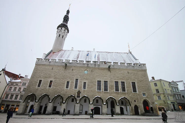 baltic-circle-1108-tallinn-town-hall.jpg