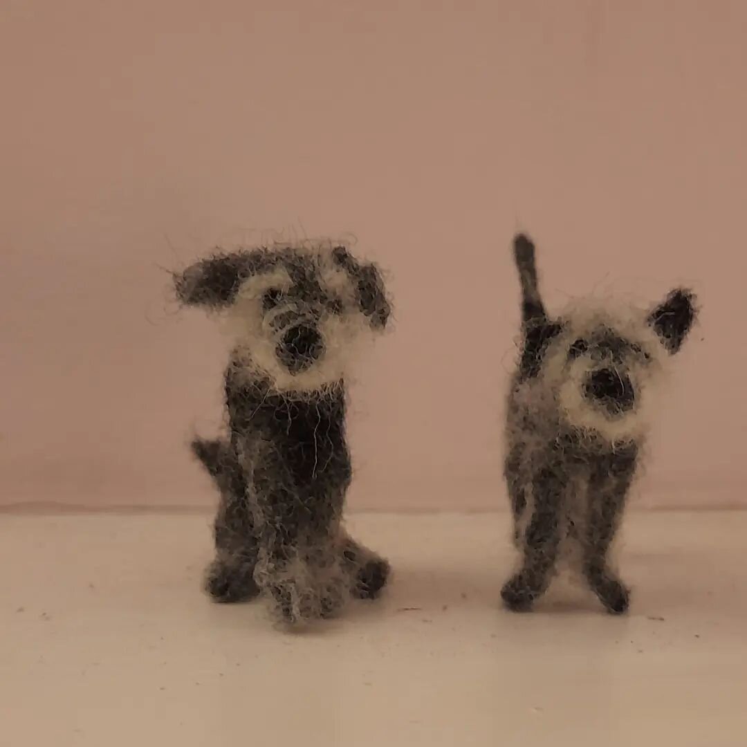 I usually avoid commissions like the plague, couldn't resist these 2 , &quot;curry boys&quot; so full of character, thank you @janehbinteriors x
#patterdaleterrier #felteddog