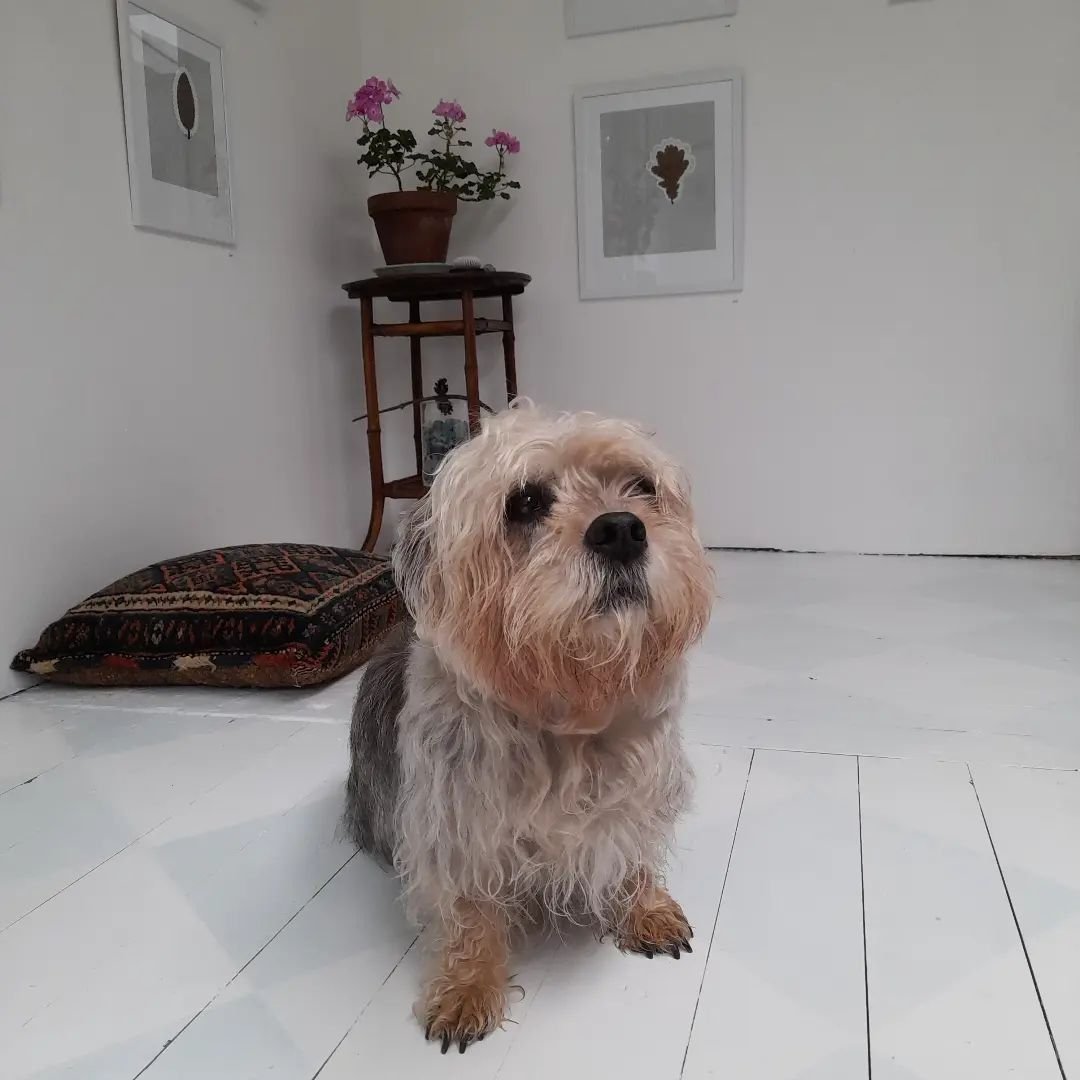 Artmap Argyll over for 2024, was undoubtedly the soggiest open studio event to date. 
Thank you to all out visitors , to those who have rehomed works and for inspiring conversation. 
#argyll 
#openstudio
@artmapargyll 
#visitscotland 
#rain