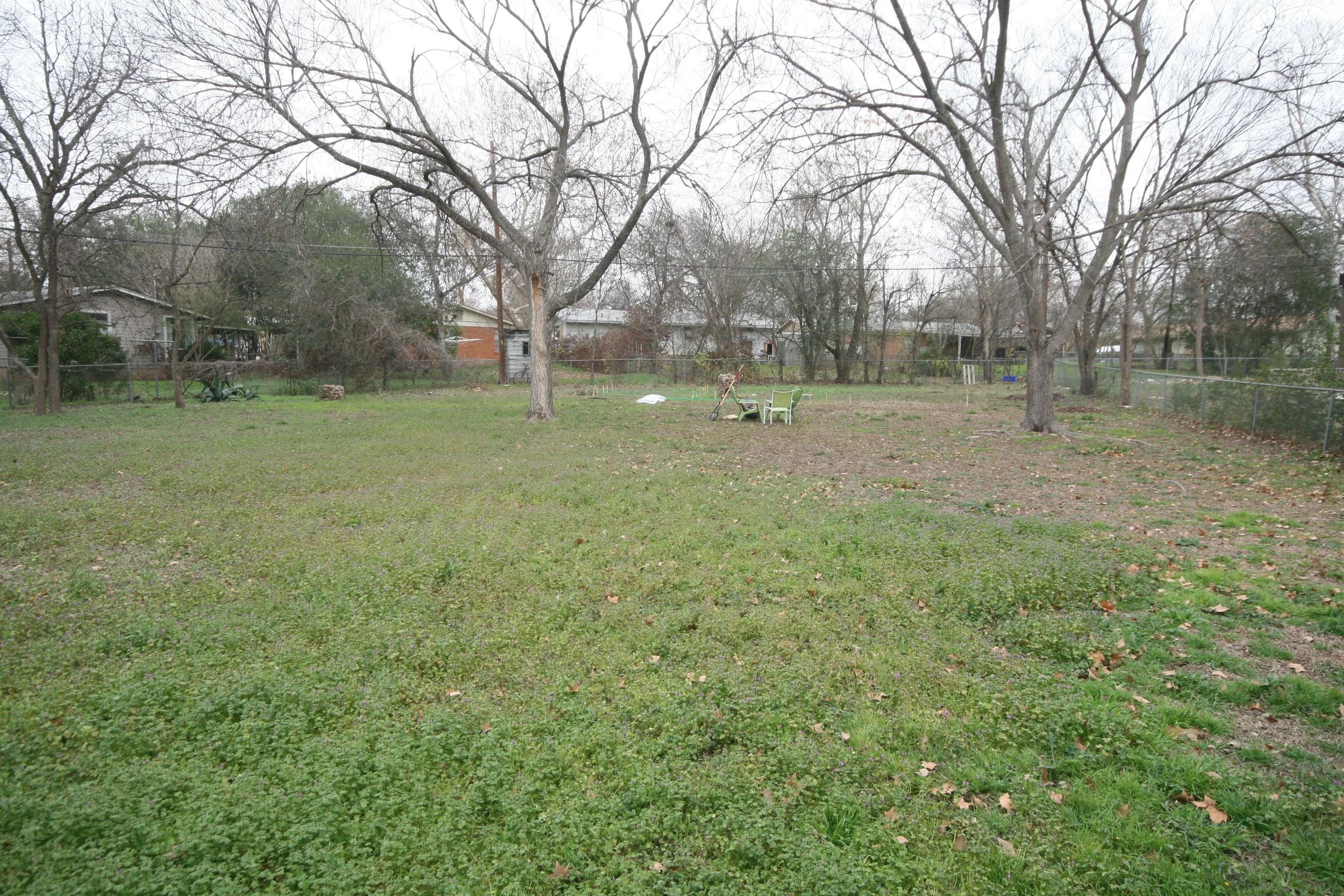 Looking toward what was to become the back vegetable garden, orchard and chicken coop (looking east).