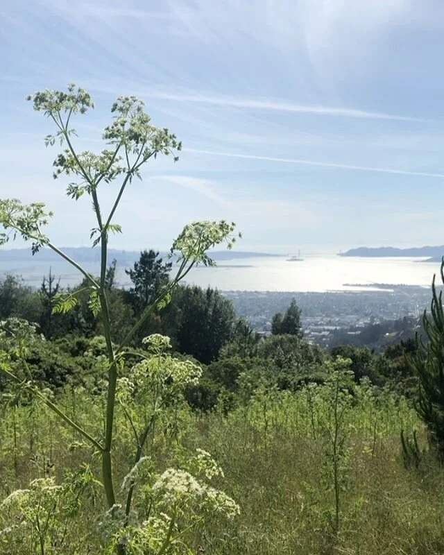 Beautiful Tilden 🌿⛰