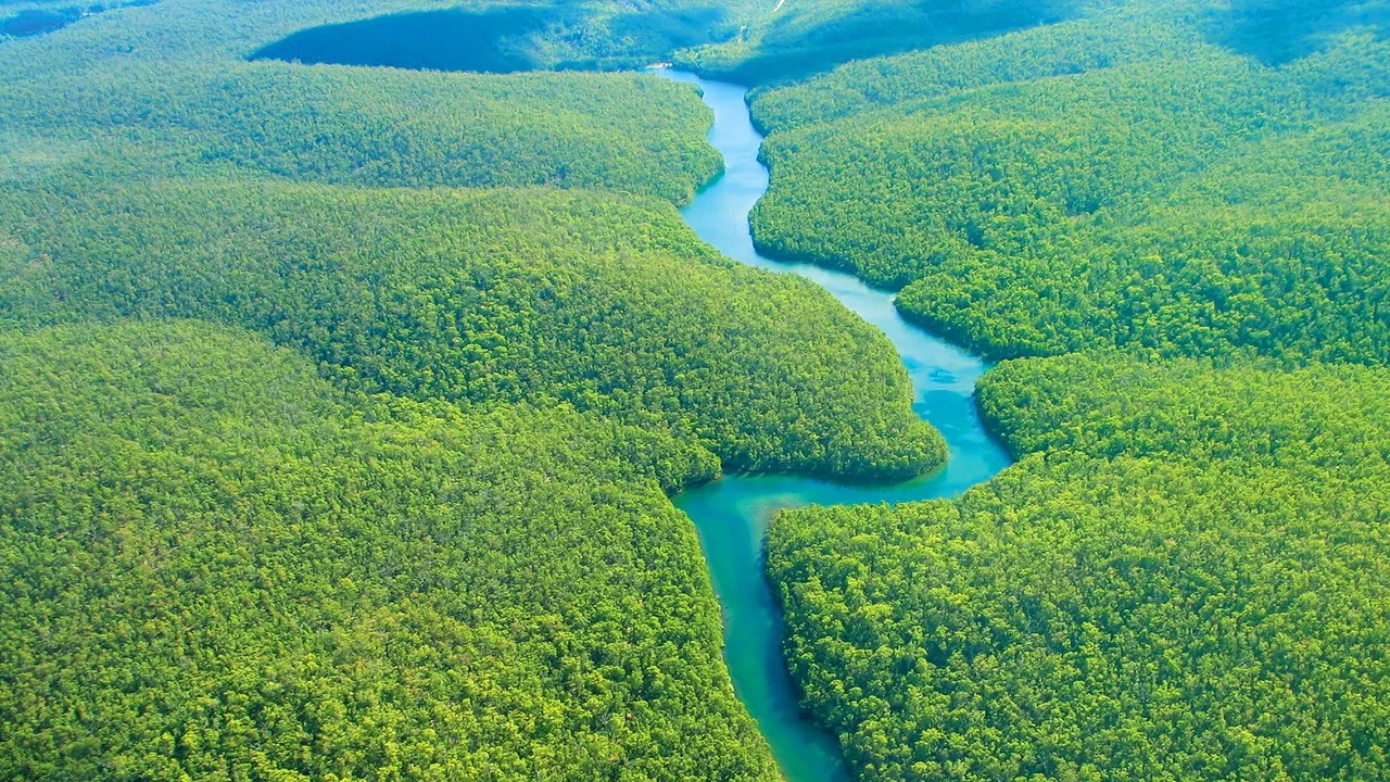 Amazon-Rainforest-7.jpg