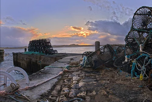 Count lobster pots on the harbour