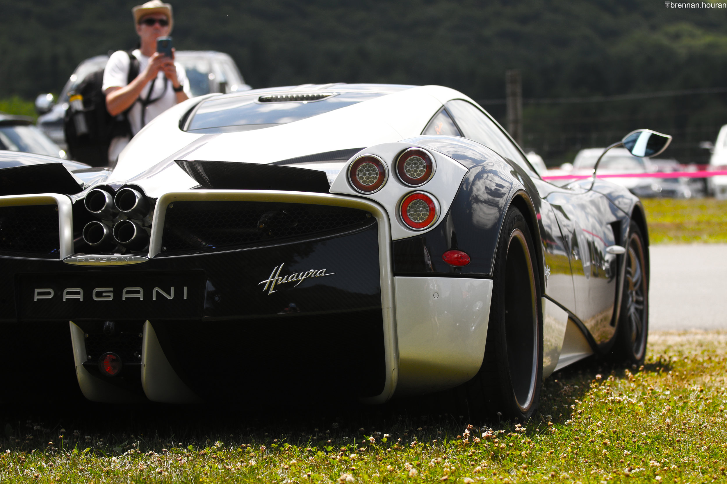 IMG_8354_WTR.jpg