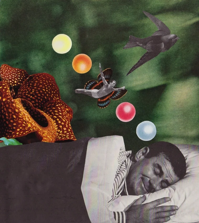 The Mystery of Dreams