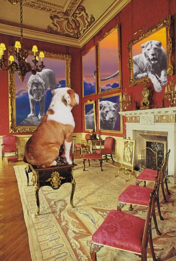 The Lion's Den