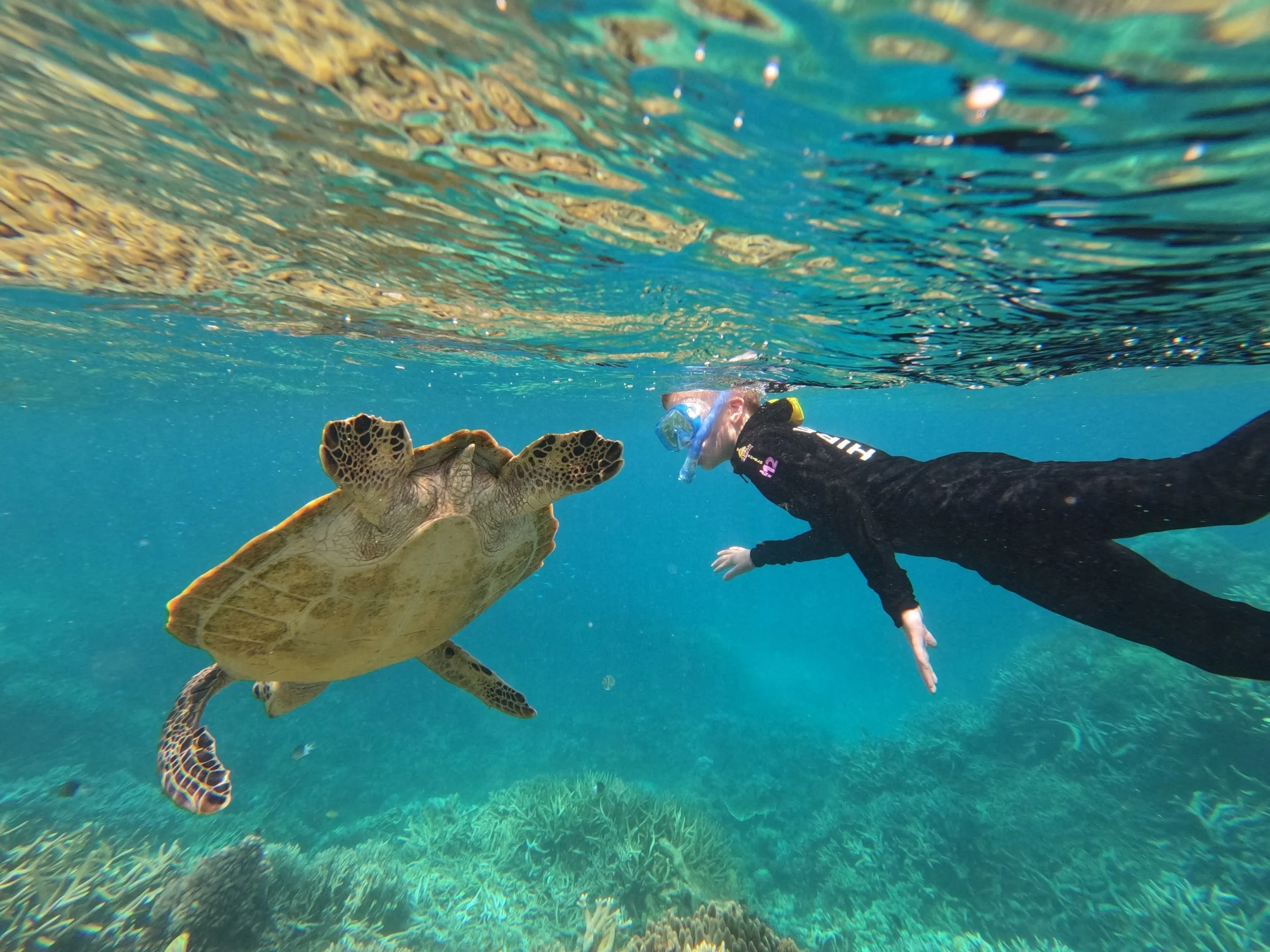 Spring Break in Australia - 2025