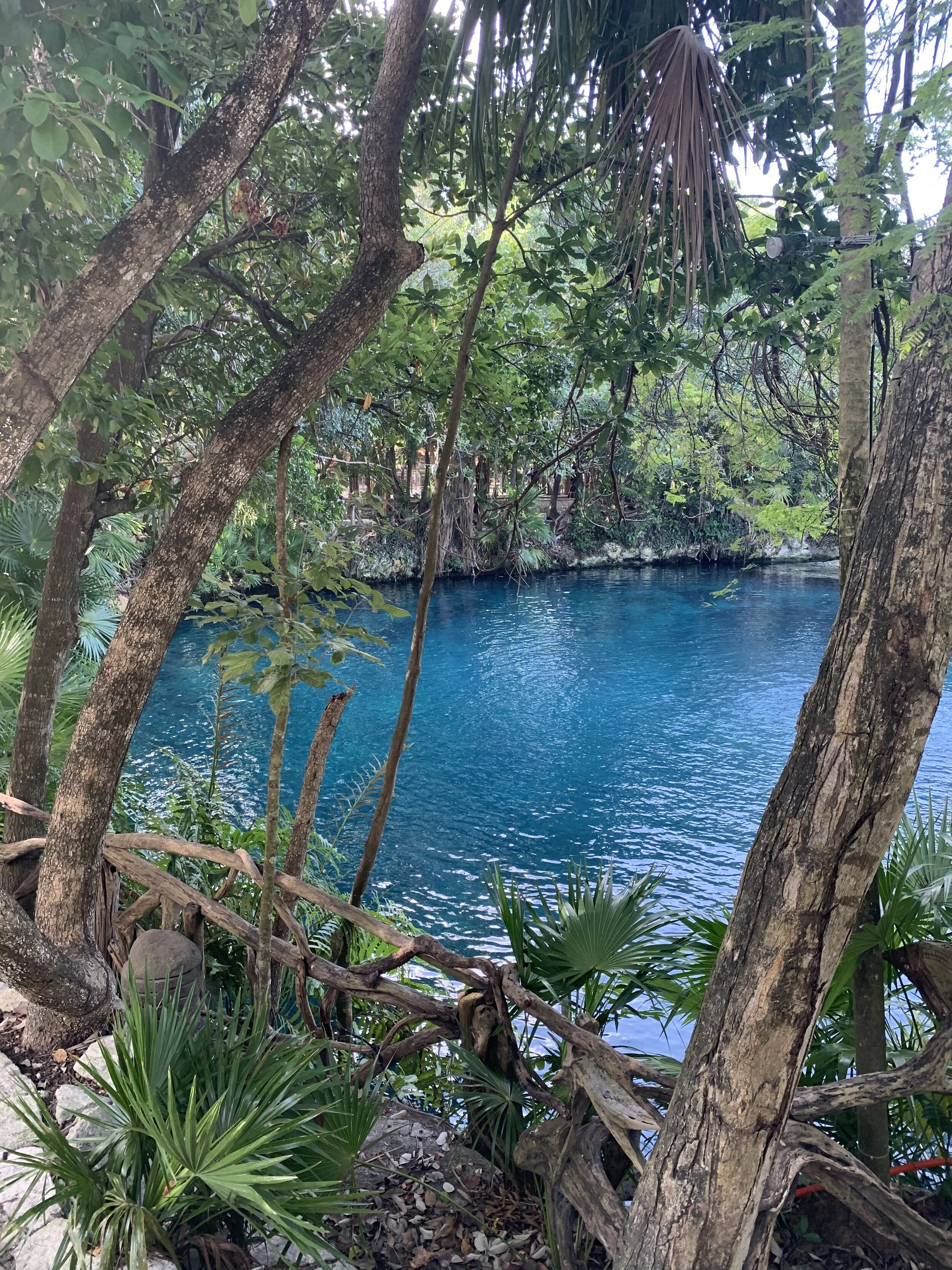 Playa del Carmen, Mexico - 2020