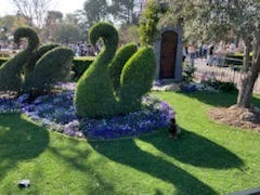Alaya garden.jpg