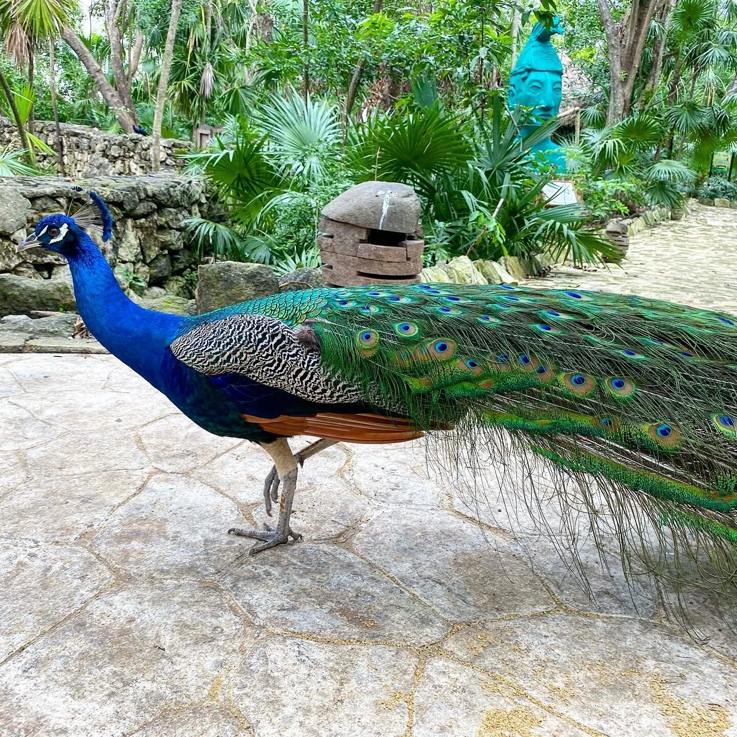 Playa del Carmen, Mexico - 2021