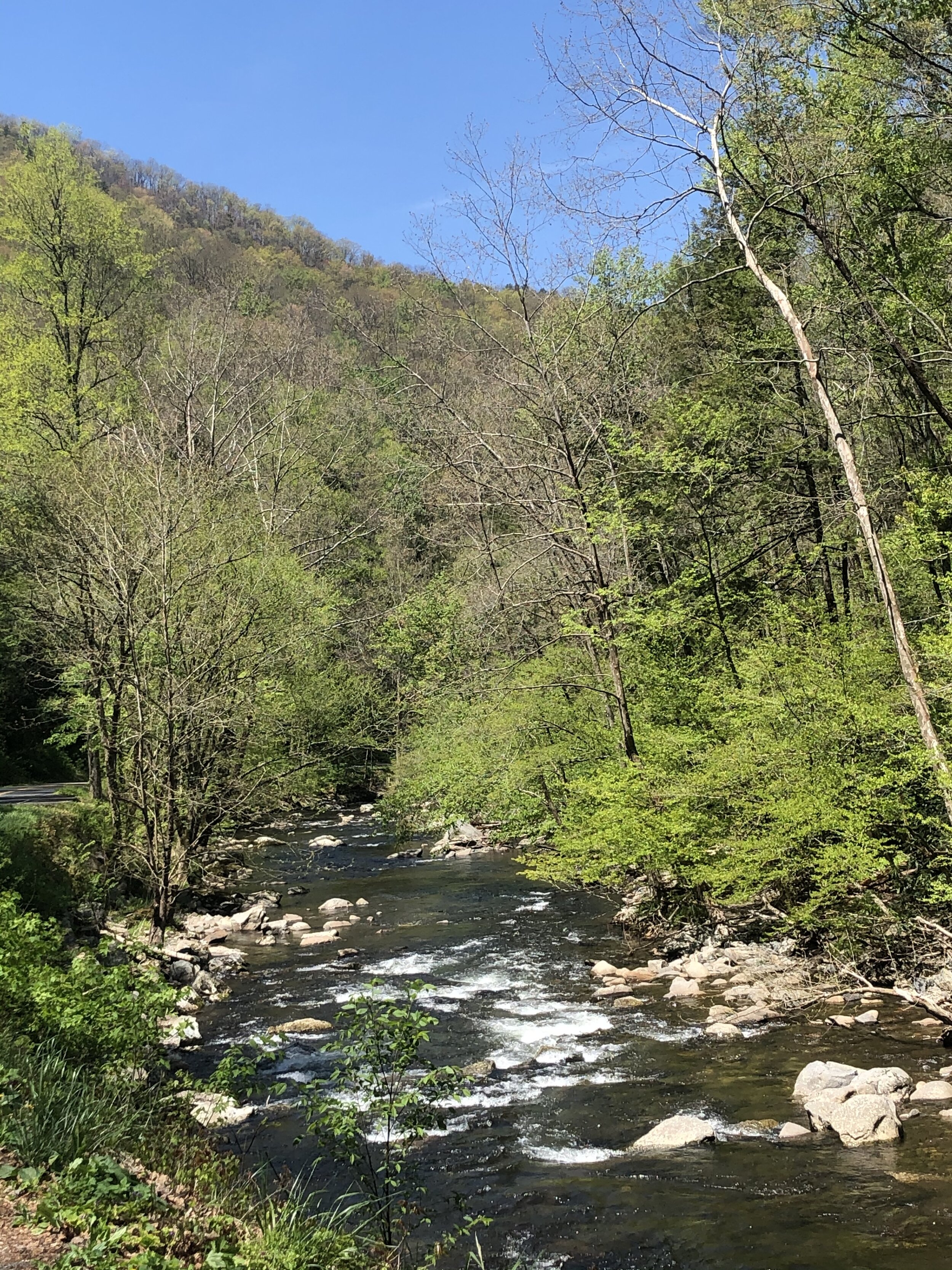 Gatlinburg, Tennessee - 2021