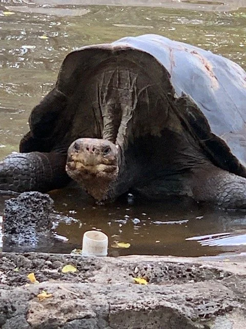 Galapagos Islands - 2022