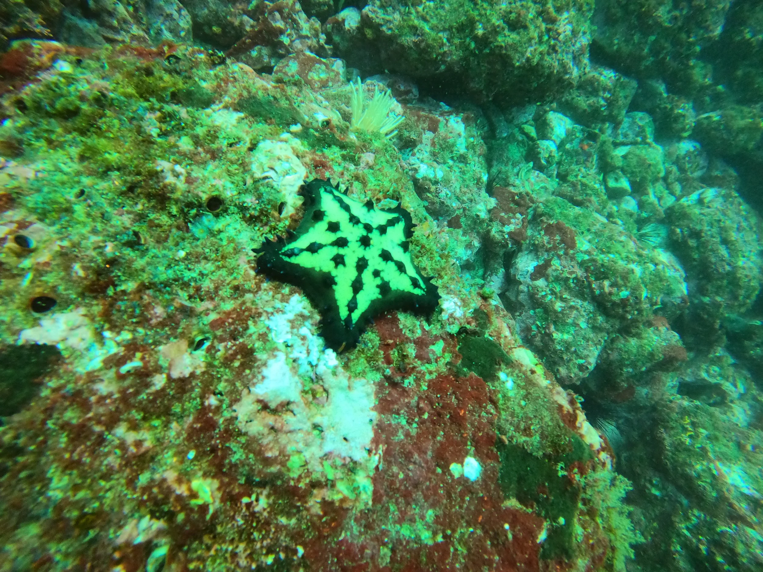 GOPR0450.jpg