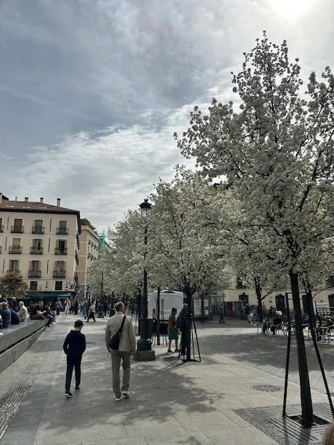 Three Generations Travel to Spain - 2023