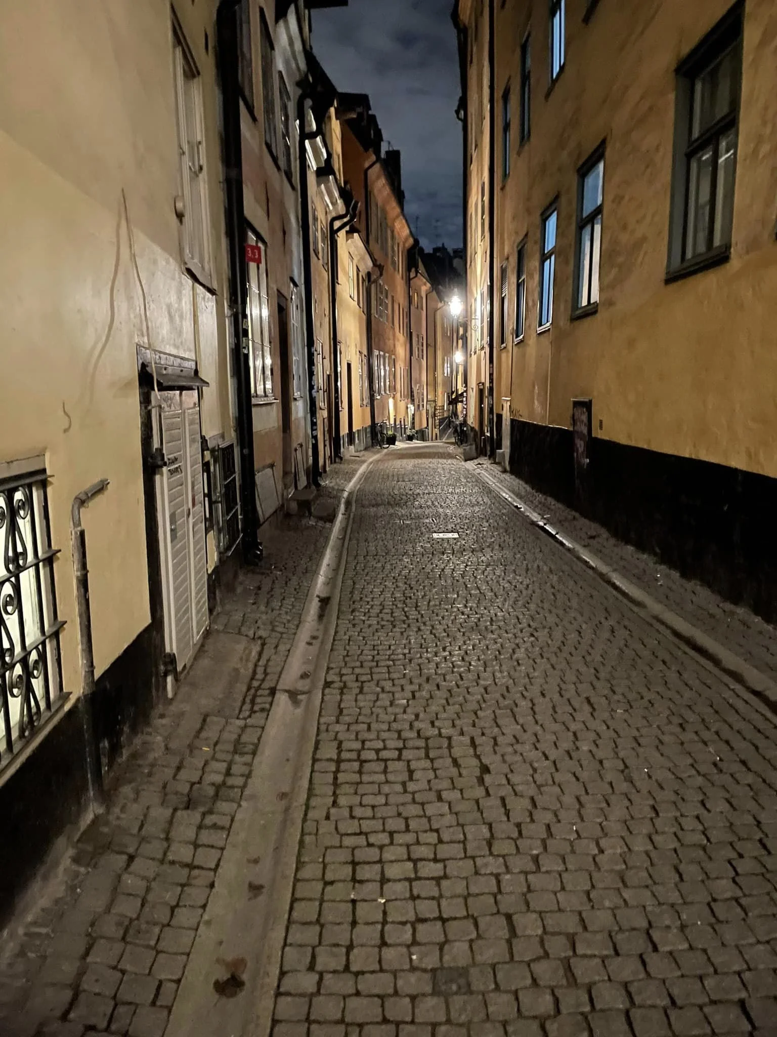 night alley.jpeg
