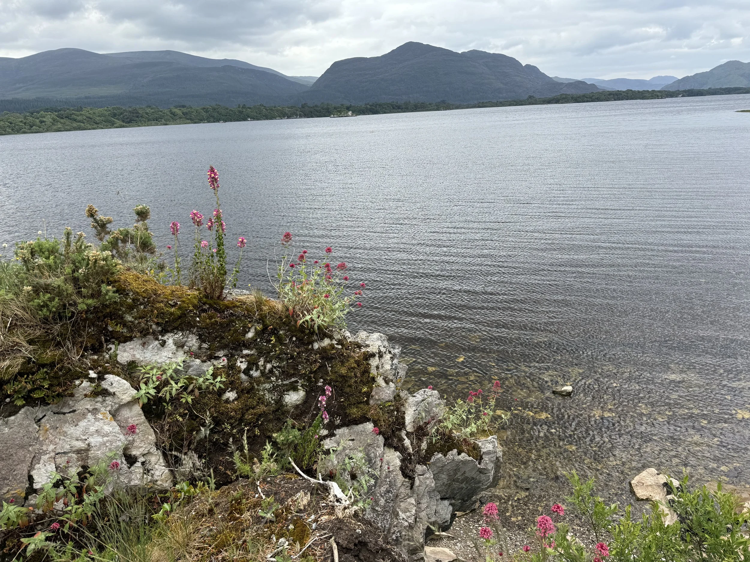 image_50405121.JPG