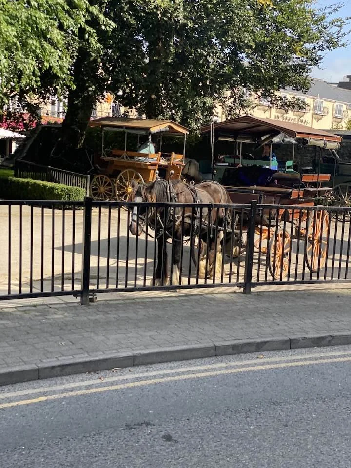 Ireland - jaunting.jpg