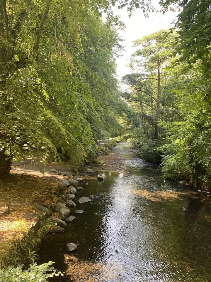 Ireland - river scenery.jpg