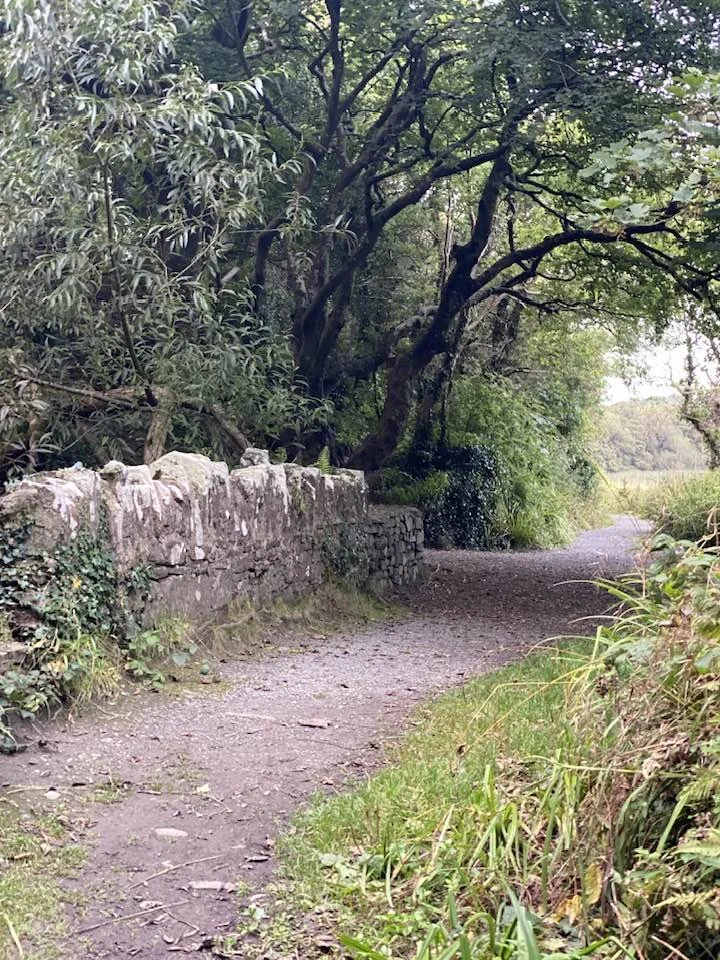 Ireland - road.jpg