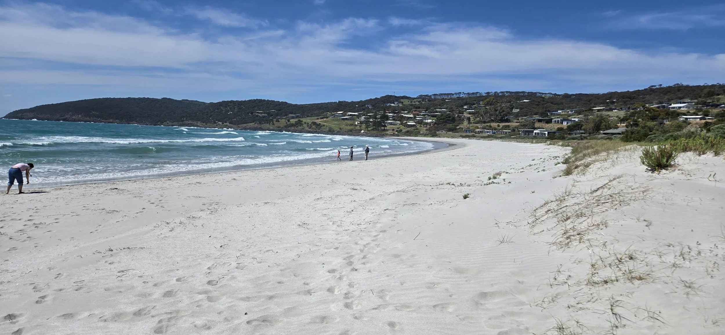 beach.jpg