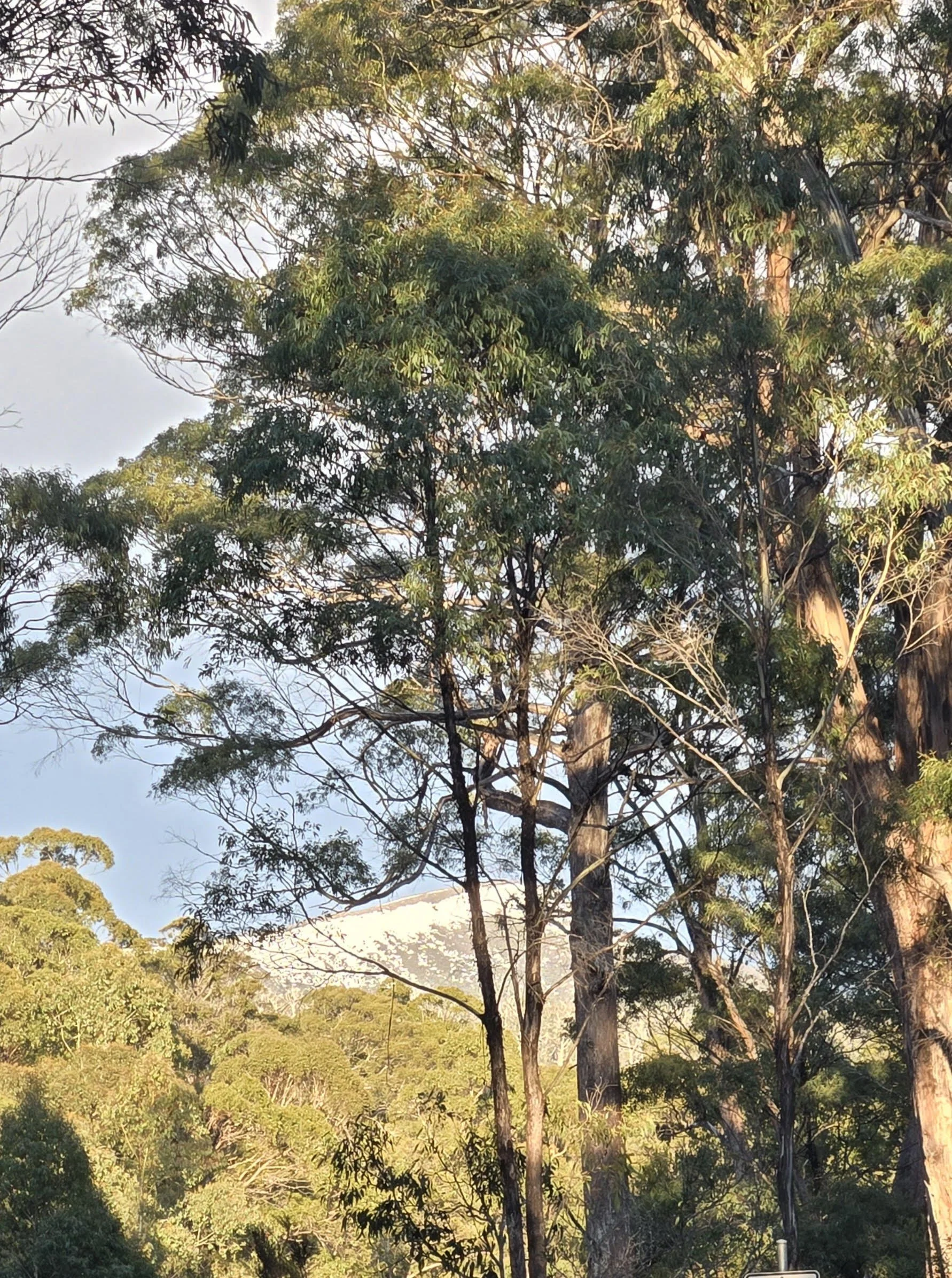 Tasmania2.jpg