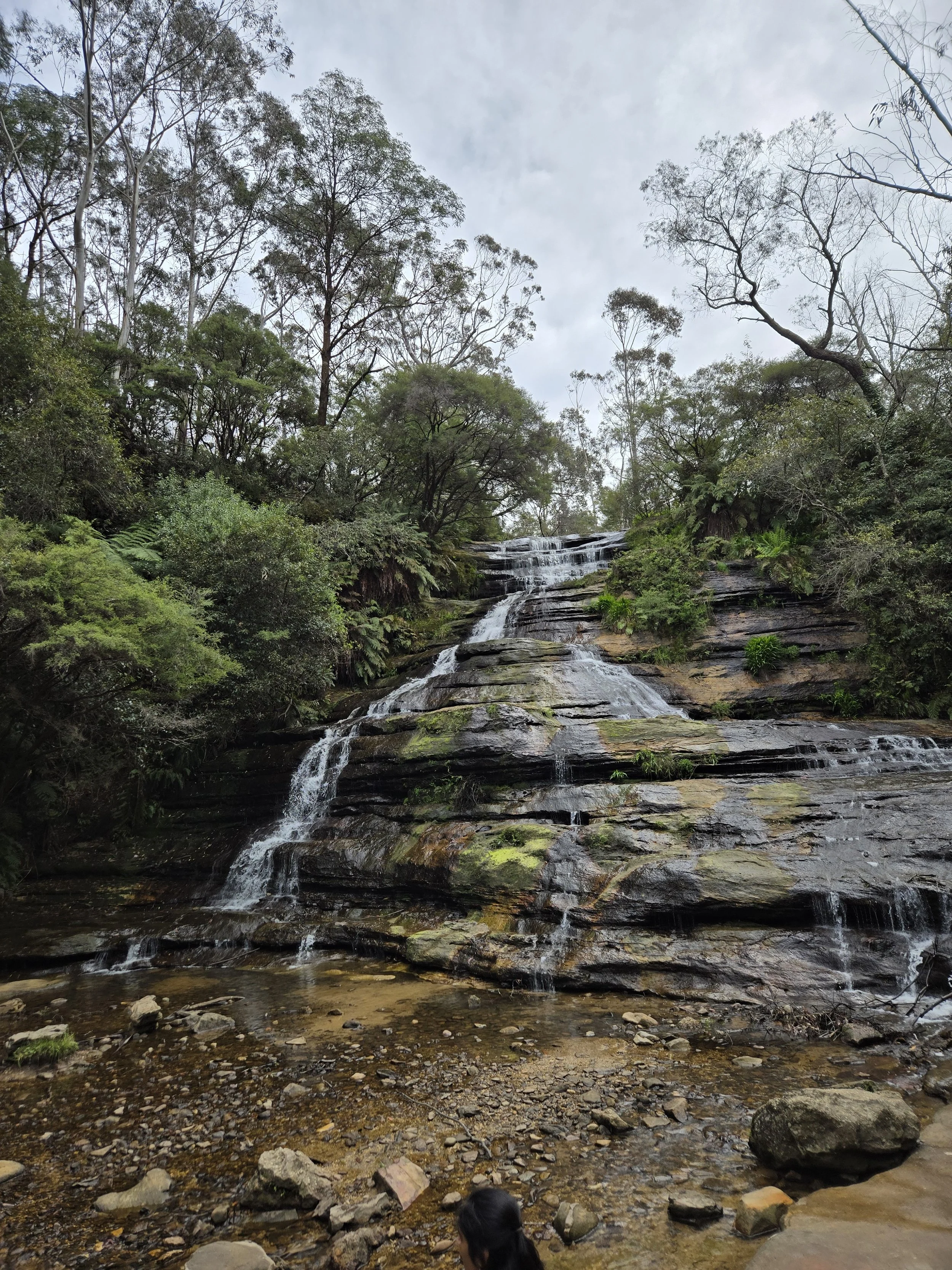 Blue Mountains.jpg