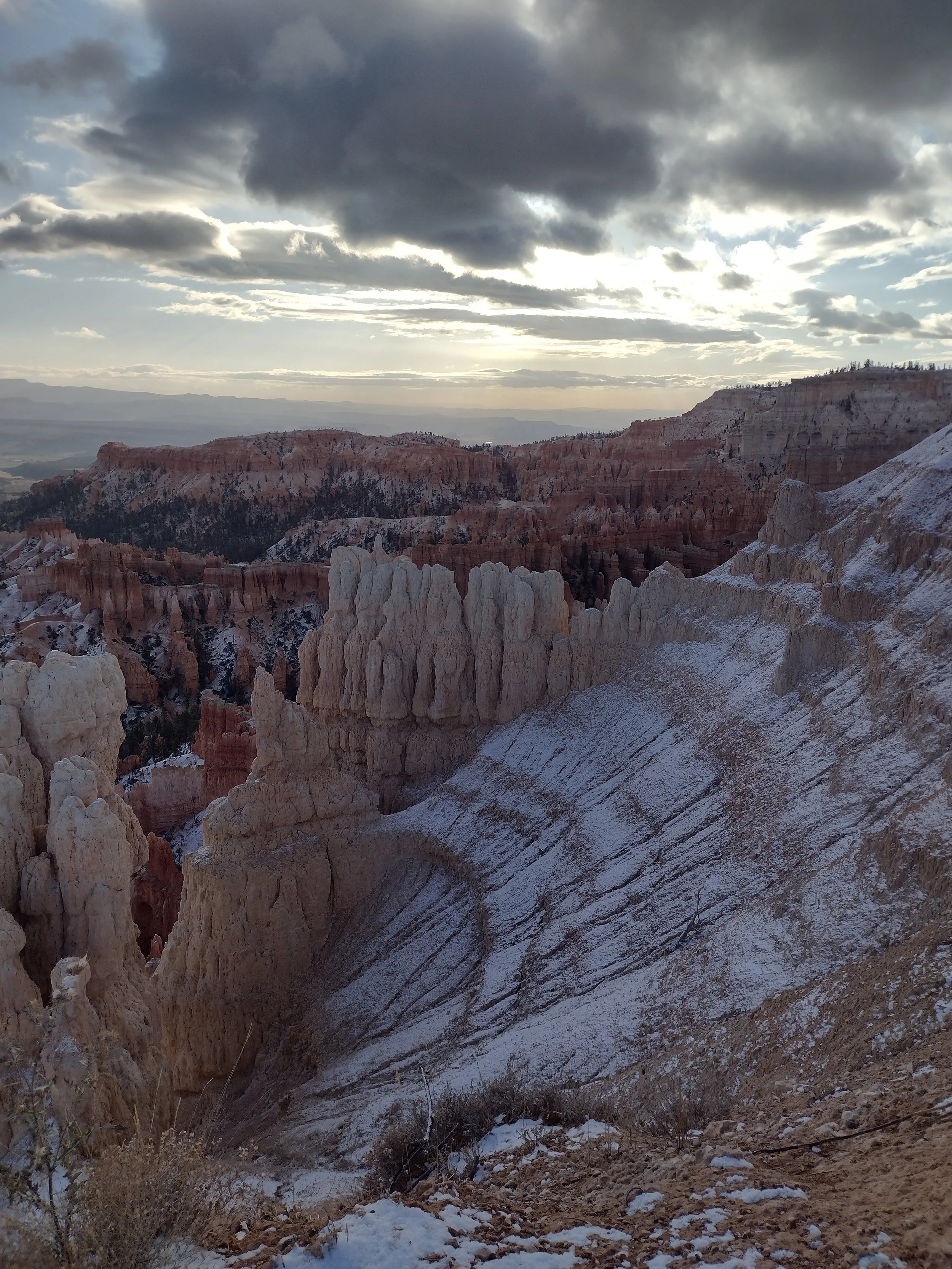 IMG_20241029_090700526_HDR.jpg