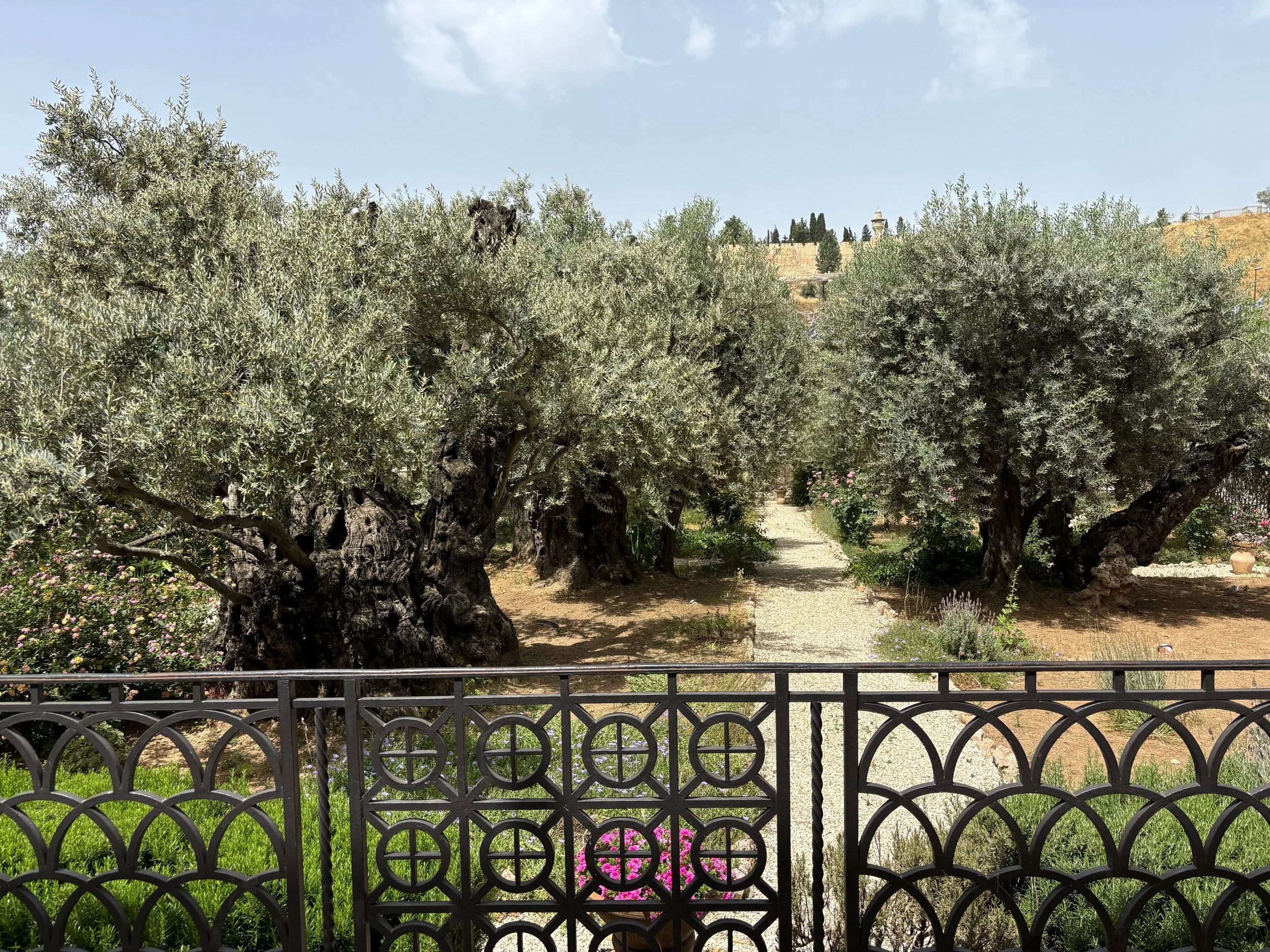 Garden of Gethsemane