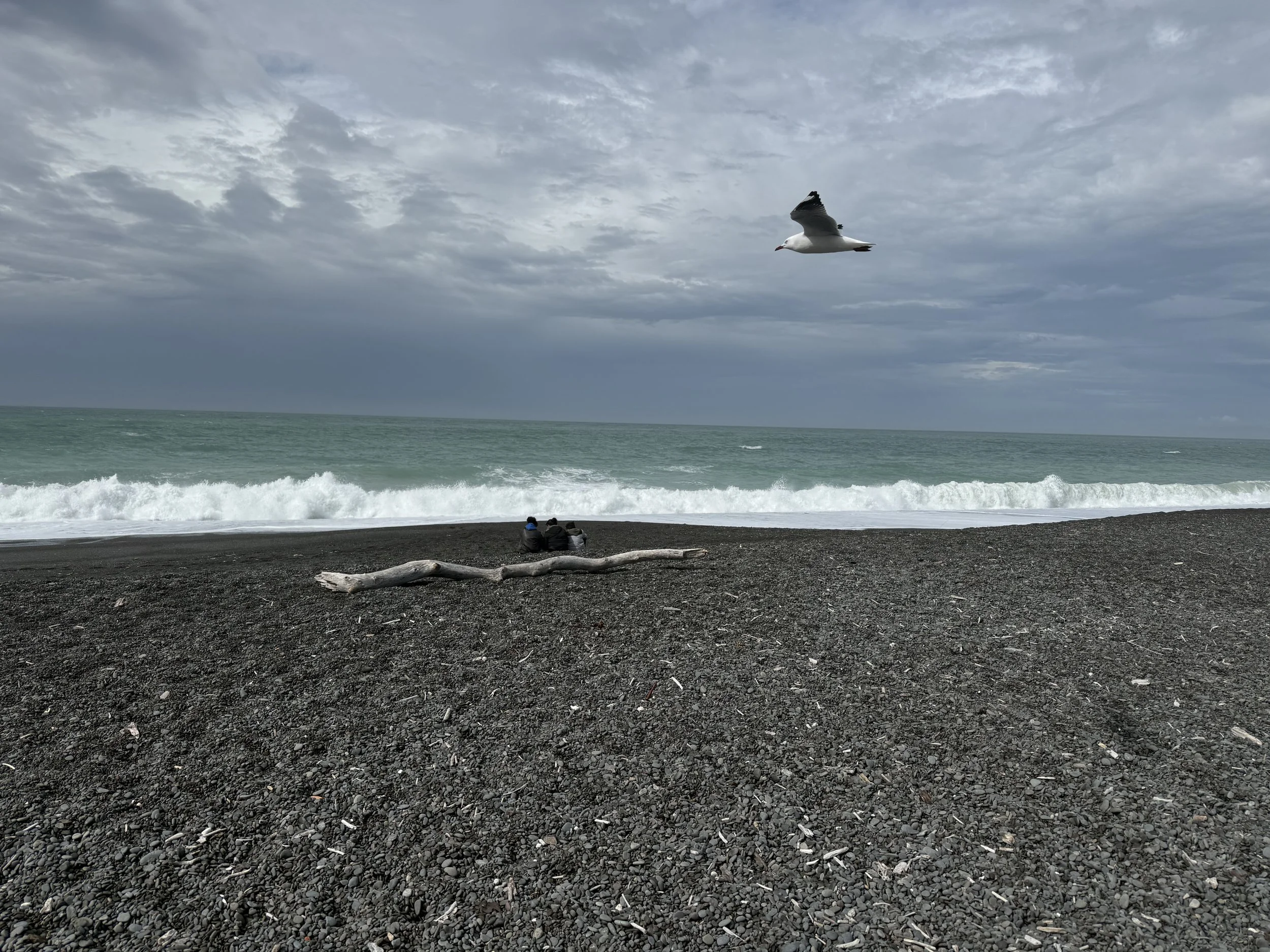 IMG_4835.jpeg