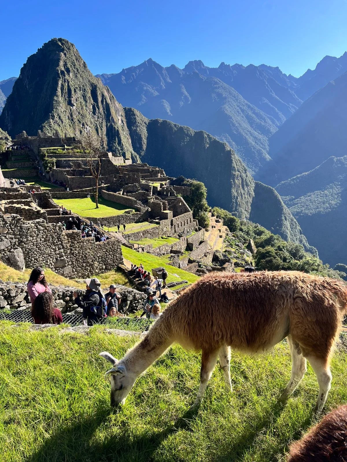 Last Minute Trip to Peru - 2025
