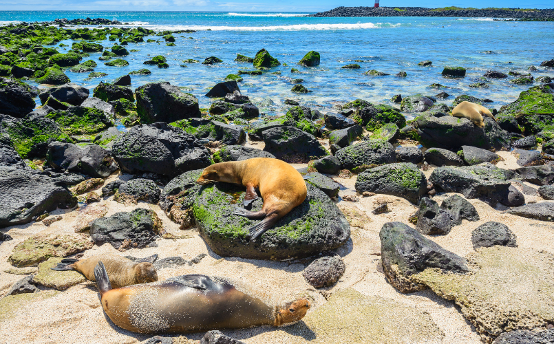 March 19, 2025 - Destination Spotlight: Galapagos
