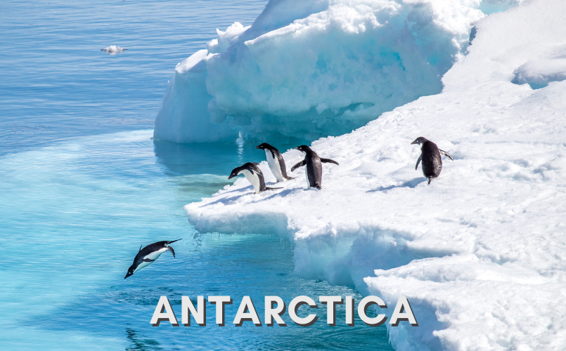 February 21, 2024 - Destination Spotlight: Antarctica