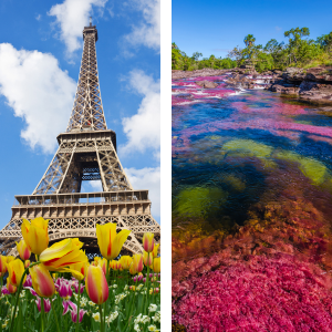 August 14, 2024 - What to Be Planning: Spring Break